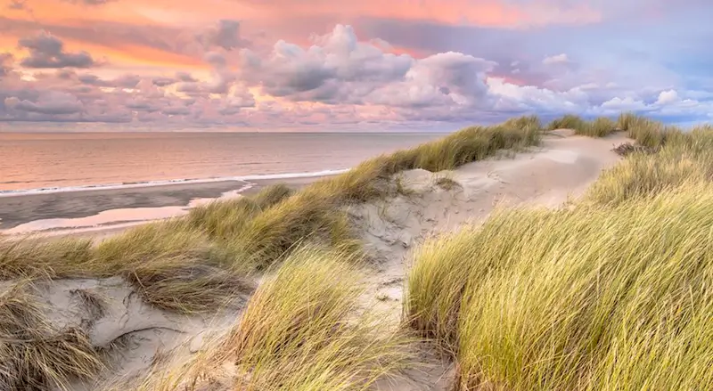 Nederland duinen, zee en strand